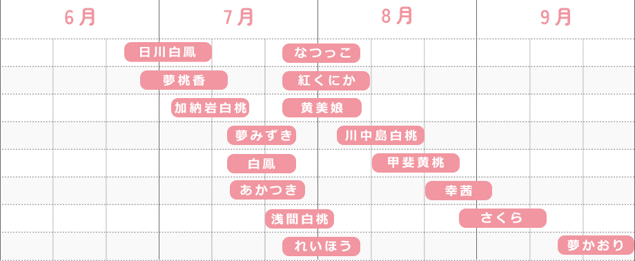 ϥ塼